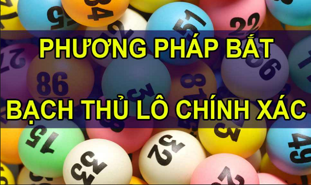 Phương pháp bắt lô bạch thủ